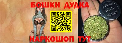 прущие крисы Новозыбков