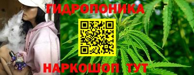 прущие крисы Новозыбков