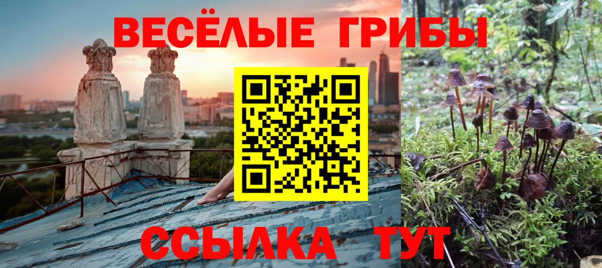 Галлюциногенные грибы MAGIC MUSHROOMS  Вход с VPN  Спасск-Дальний  Галлюциногенные грибы MAGIC MUSHROOMS 